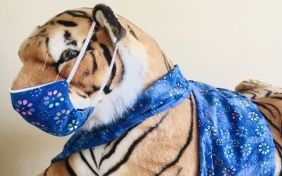 A propos des masques en tissu
